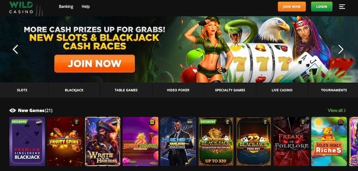 Wild Casino Gambling website